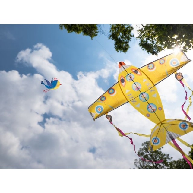 Zmaj Od Najlona - Avion