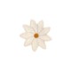 Šnalica Zaza - Daisy Šnalica Zaza - Daisy
