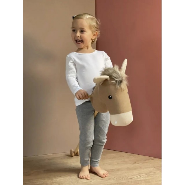 Konjić Za Jahanje - Henry