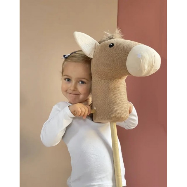 Konjić Za Jahanje - Henry