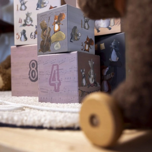 Kocke Za Slaganje – Zekina Porodica