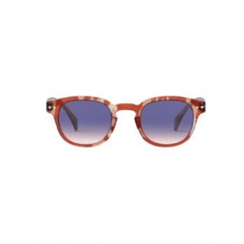 SUN #C Wild Hooves Polarized