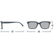 Sun L Light Tortoise Sun L Light Tortoise