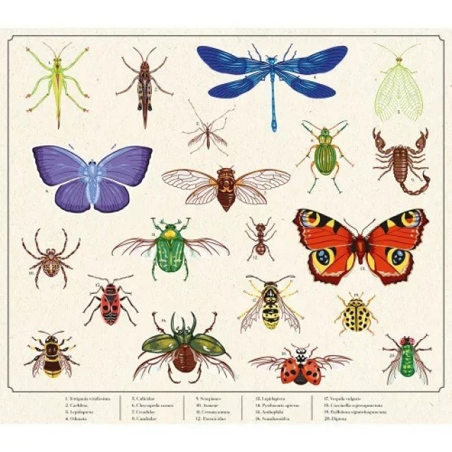 Istraživač Vrta – Istraživački Koferčić