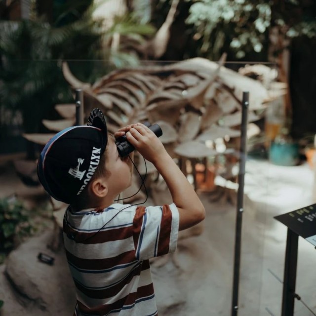 Kidywolf Dvogled Za Decu, Zeleni, 10X25Mm