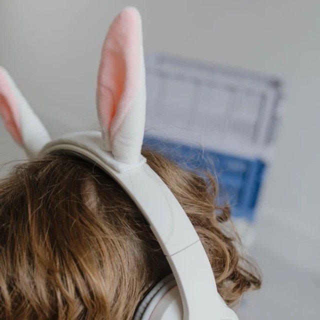 Kidywolf Kidyears – Dečje Slušalice, Zeka Kidywolf Kidyears – Dečje Slušalice, Zeka