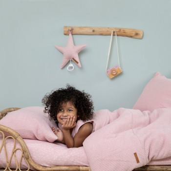 Muzička zvezda - Pink