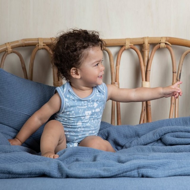 Prekrivač Sa Jastučnicom - Plavi