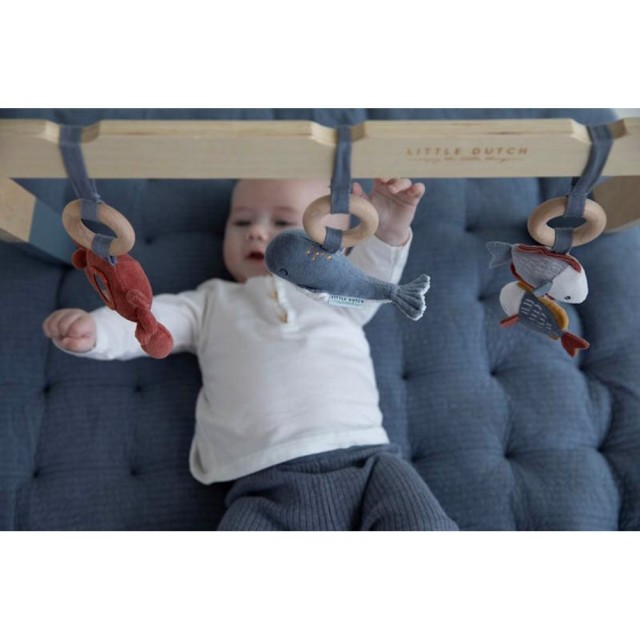 Baby Gym - Ocean Blue