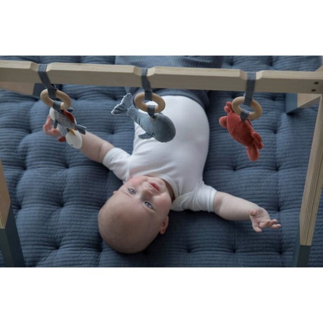 Baby Gym - Ocean Blue