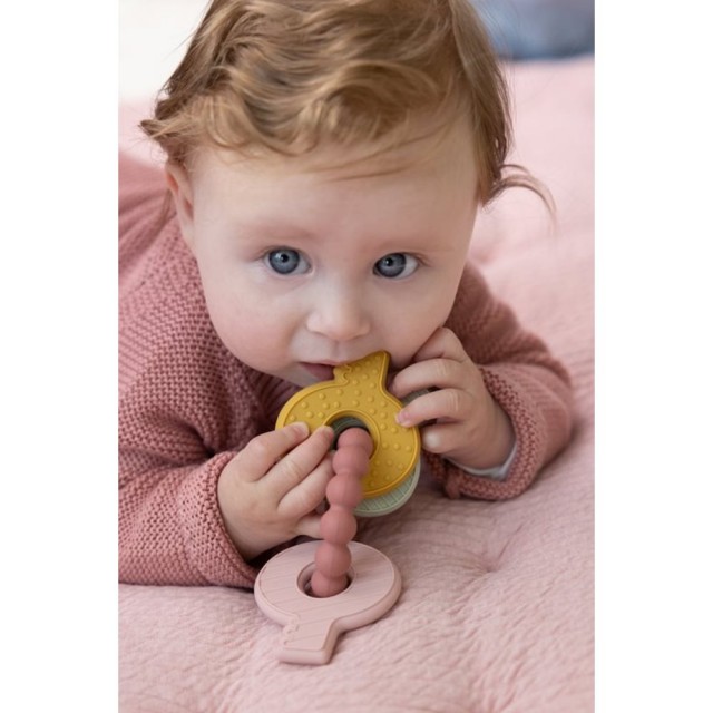 Glodalica Ključevi, Pink