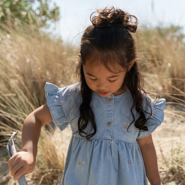 Haljina Sa Karnerima - Denim