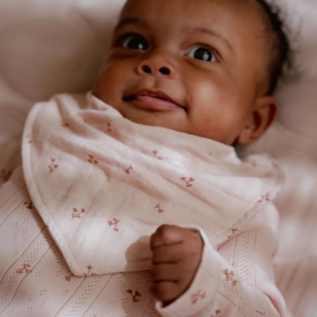 Set Od Dve Portikle Bib, Roze - Essentials