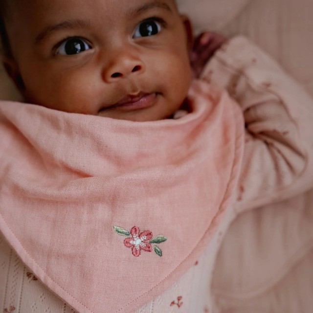 Set Od Dve Portikle Bib, Roze - Essentials