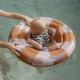 Bebi Dušek Za Vodu – Ocean World