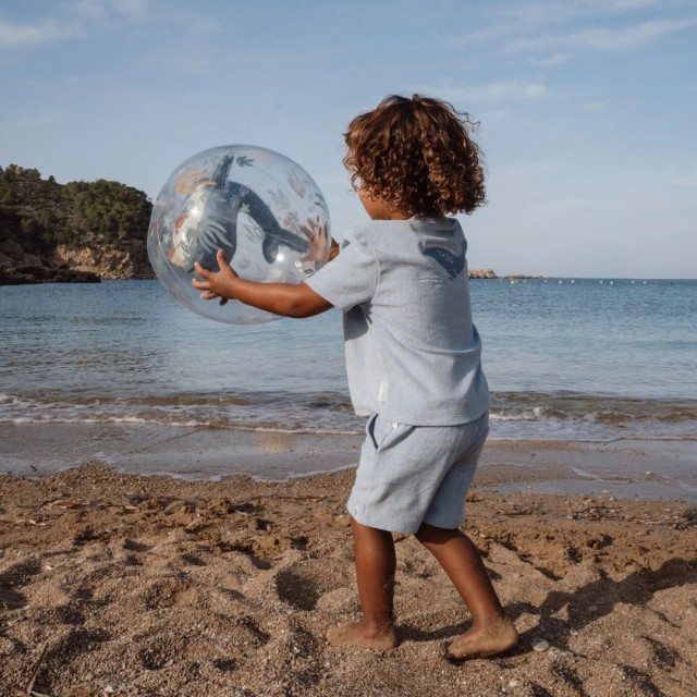 3D Lopta Za Plažu – Ocean World