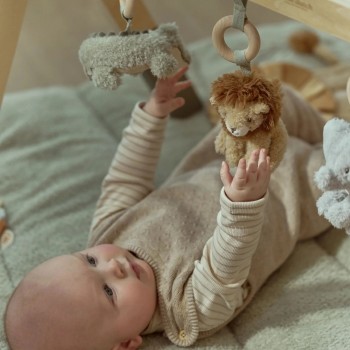 Gimnastika za bebe - Safari Friends