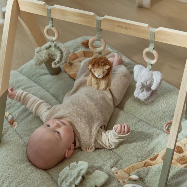 Gimnastika Za Bebe - Safari Friends