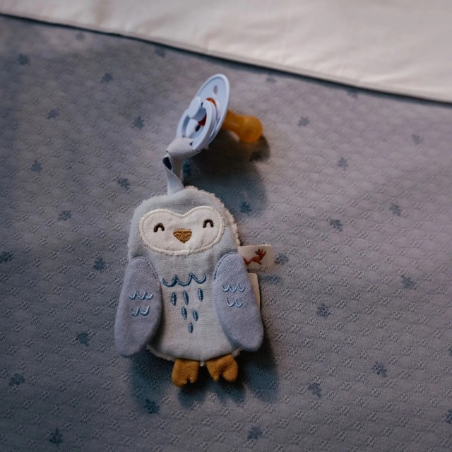 Tkanina Za Cuclu - Forest Friends