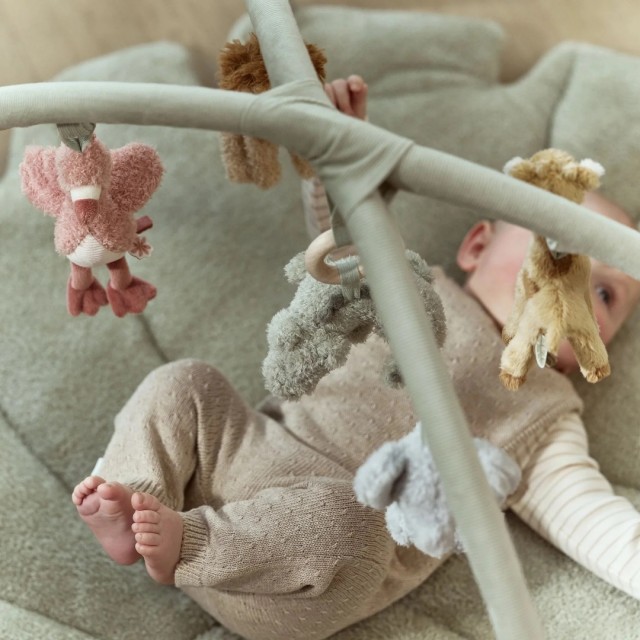 Gimnastika Za Bebe Sa Aktivnostima - Safari Friends