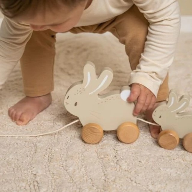 Povuci, Zeka - Baby Bunny