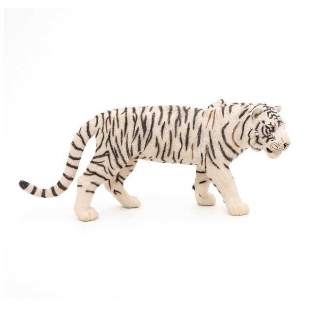 Papo Beli Tigar Papo Beli Tigar