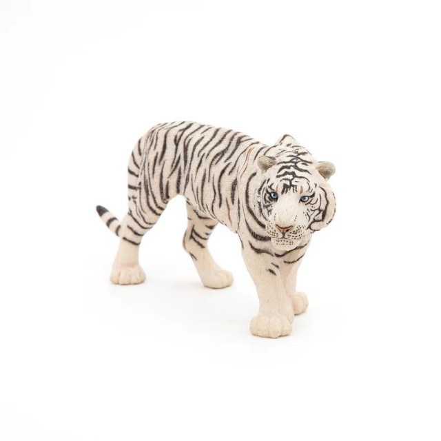 Papo Beli Tigar Papo Beli Tigar