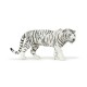 Papo Beli Tigar Papo Beli Tigar