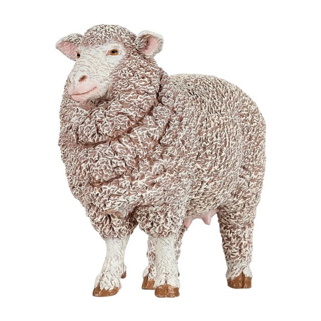 Papo Merino Ovca Papo Merino Ovca