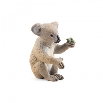 PAPO Koala PAPO Koala