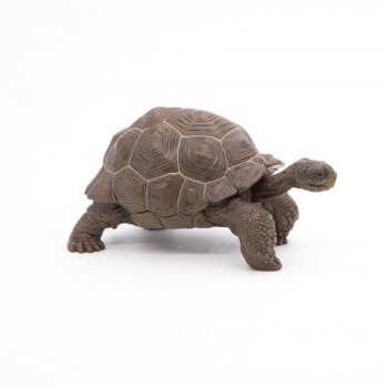 PAPO Galapagoska kornjača