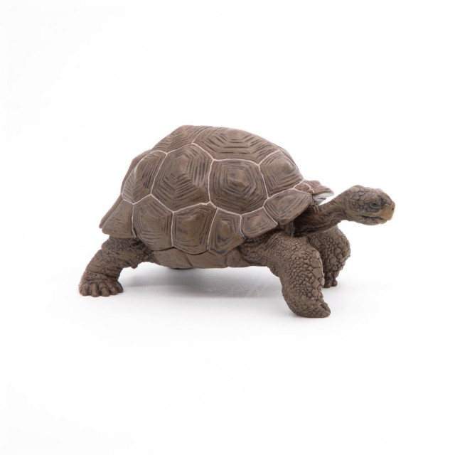 Papo Galapagoska Kornjača Papo Galapagoska Kornjača