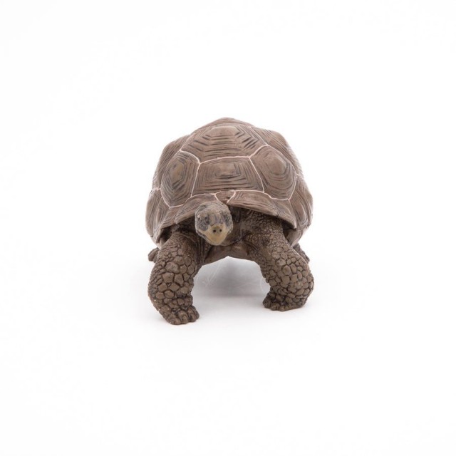 Papo Galapagoska Kornjača Papo Galapagoska Kornjača