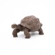 Papo Galapagoska Kornjača