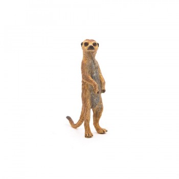 PAPO Merkat