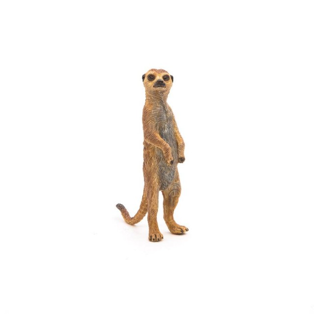 Papo Merkat