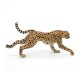 Papo Gepard Papo Gepard