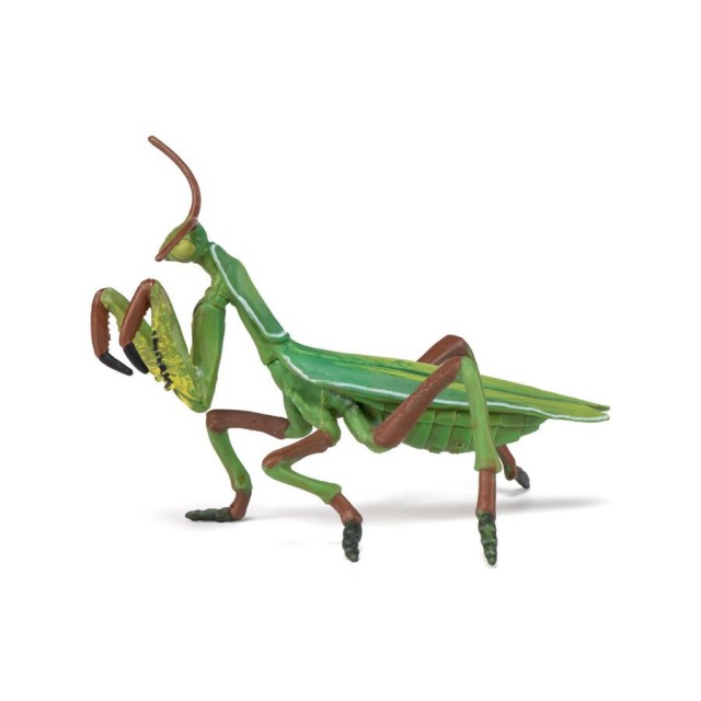 Papo Bogomoljka Papo Bogomoljka