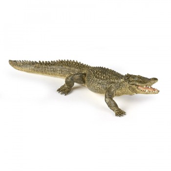 PAPO Aligator PAPO Aligator