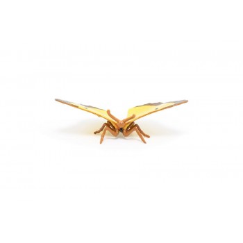 PAPO Leptir marigold