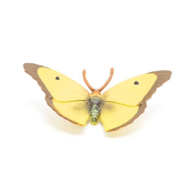 Papo Leptir Marigold