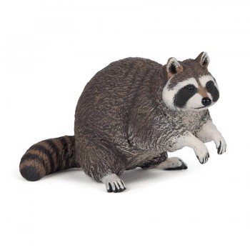 PAPO Rakun