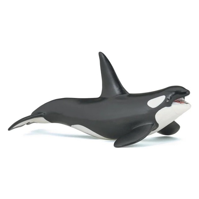 Papo Orka Papo Orka