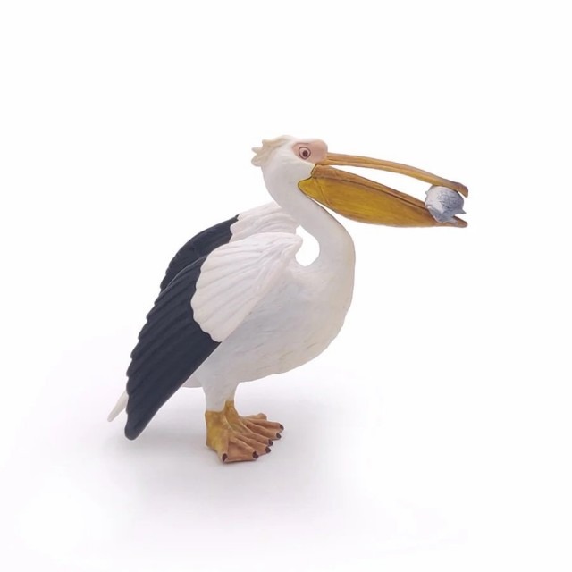 Papo Pelikan Papo Pelikan