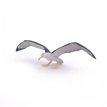 PAPO Albatros
