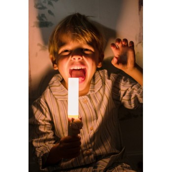 Dečija baterijska lampa - Lisica