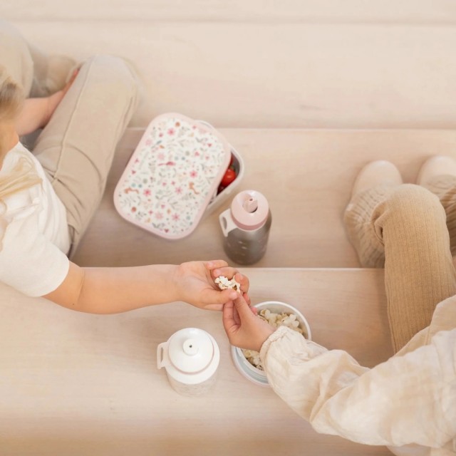 Kutija za ručak - Fairy Wonders