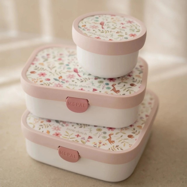 Kutija za ručak - Fairy Wonders