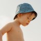 Kapa Za Sunce - Sea Life