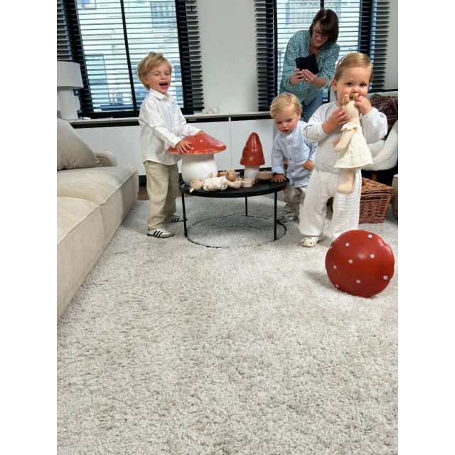 Mala Lampa – Pečurka